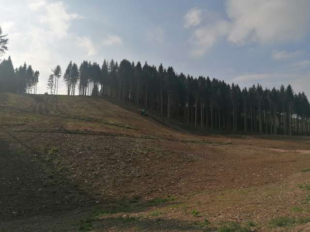 R.G.M. srl - Servizi - Lavori forestali - Bonifica terreni