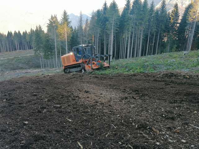 R.G.M. srl - Servizi - Lavori forestali - Bonifica terreni
