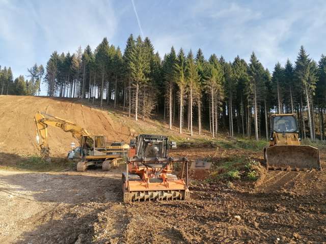 R.G.M. srl - Servizi - Lavori forestali - Bonifica terreni