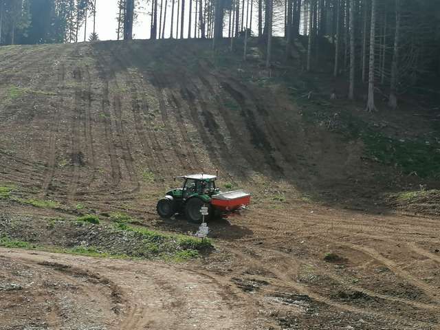 R.G.M. srl - Servizi - Lavori forestali - Bonifica terreni