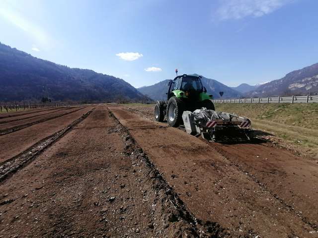 R.G.M. srl - Servizi - Lavori forestali - Bonifica terreni