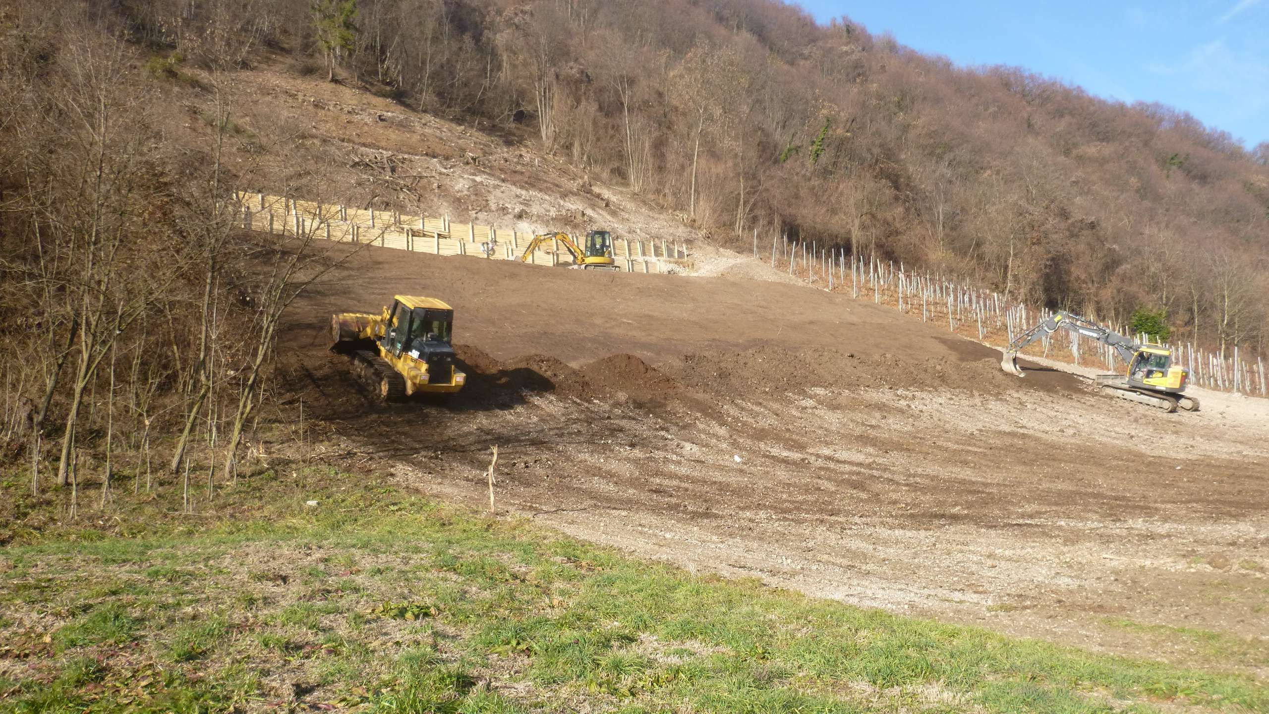 R.G.M. srl - Servizi - Lavori forestali - Sistemazione del terreno