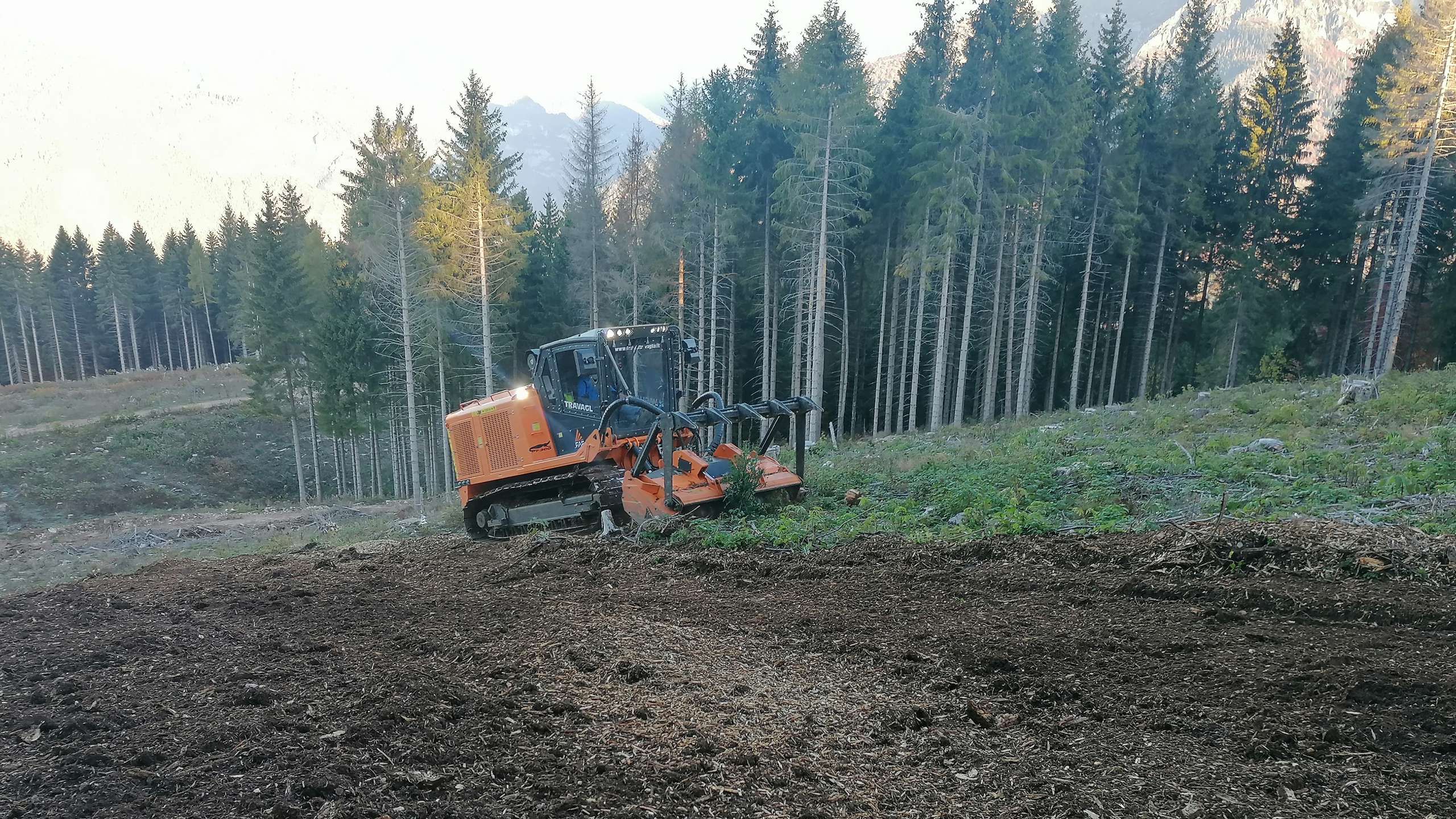 R.G.M. srl - Servizi - Lavori forestali - Bonifica terreni