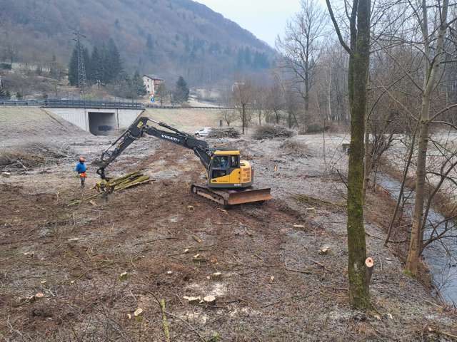 R.G.M. srl - Servizi - Manutenzione del verde - Potature e taglio piante