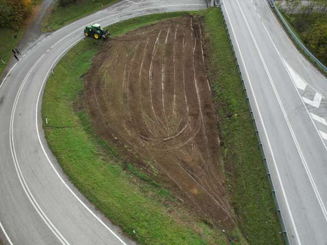 R.G.M. srl - Servizi - Lavori forestali - Sistemazione del terreno